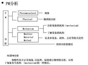 信息咨询服务 产品与服务的全方位解析